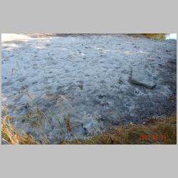 DSCN0415cr South side.jpg